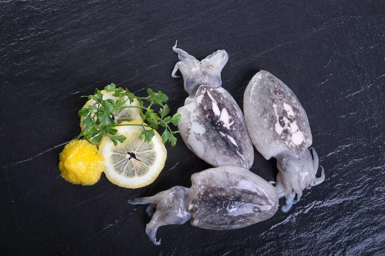 Cuttlefish (Sepia pharaonis) supplied wholesale by Gialmar